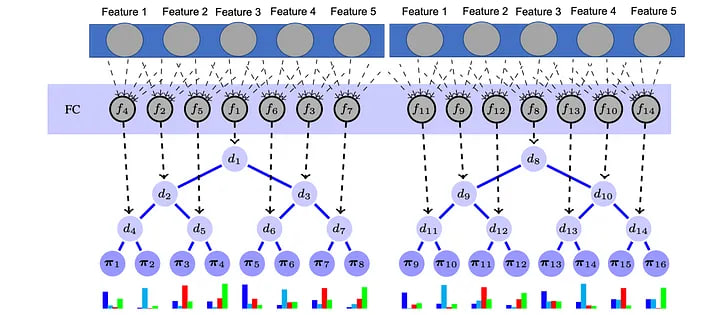 Training Process. Source: ref Deep Neural Decision Forest