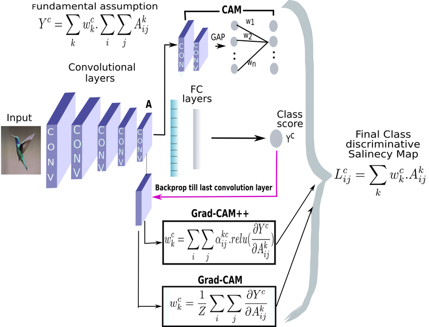 An-overview-of-all-the-three-methods-CAM-Grad-CAM-GradCAM-with-their-respective