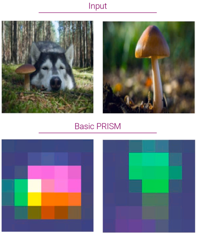 Basic PRISM