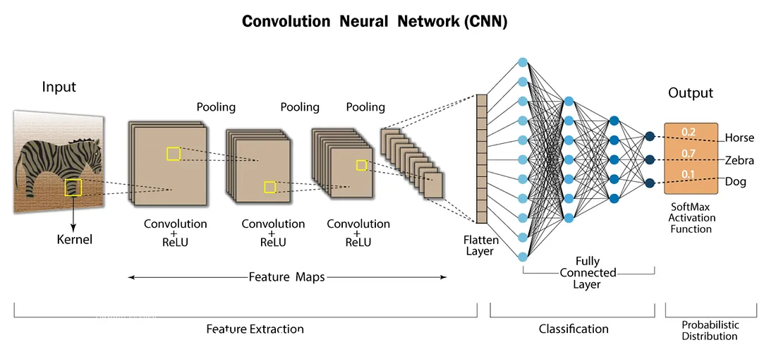 CNN Visualization