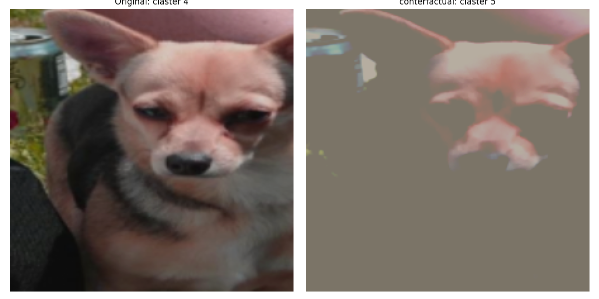 conterfactual example